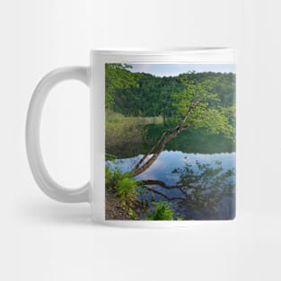 Early morning at Plitivice lakes Mug